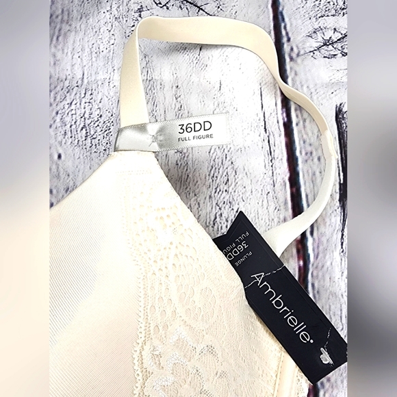 Ambrielle Plunge 36DD Full Figure, push up, Padded, underwire bra, NWT - Picture 9 of 15